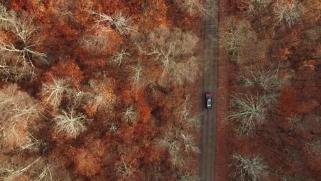 Car-with-canoe-driving-through-autumn-forest-on-dirt-road,-bright-fall-colors,-birdseye-view