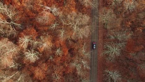 car with canoe driving through autumn forest on dirt road, bright fall colors, birdseye view