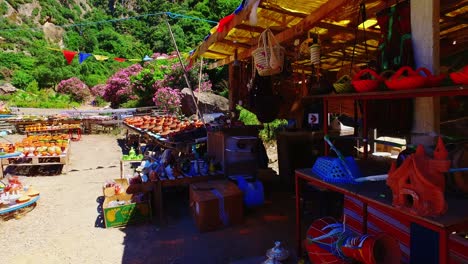 planta tradicional arábiga de argelia en una tienda
