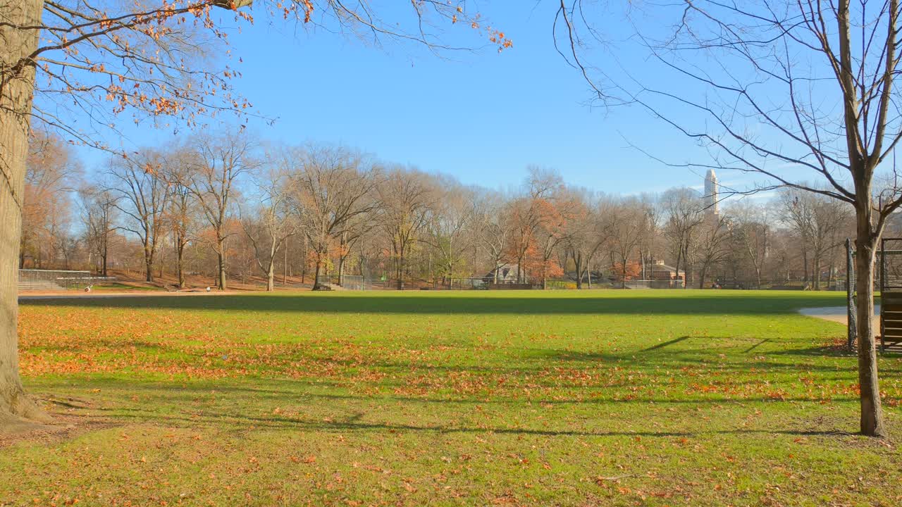미국 뉴욕 센트럴 파크의 푸른 잔디와 푸른 하늘이 있는 아름다운 풍경