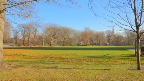 beautiful landscape view with green grass and blue sky at central park in new york city, usa