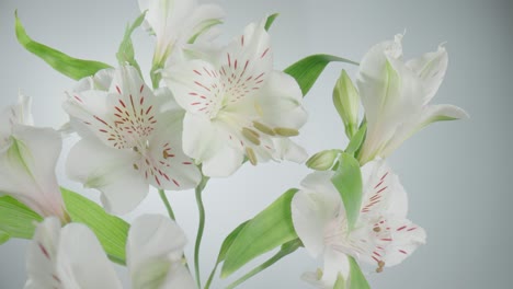 beautiful white alstroemeria bouquet