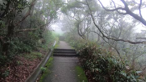 hong-kong-victoria-peak-and-gardens