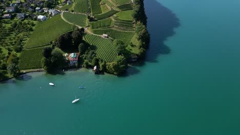 drone-aufnahme der bucht von spiez mit dem thun-see im kanton bern in der schweiz