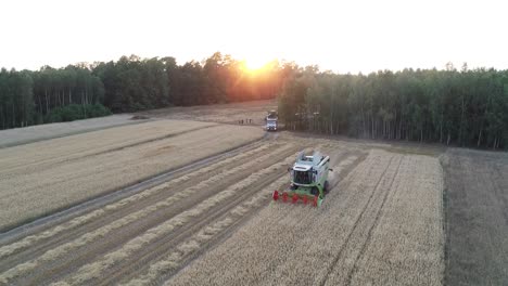 Máquina-Cosechadora-Vista-Aérea-Al-Atardecer-Tierras-De-Cultivo-Estacional