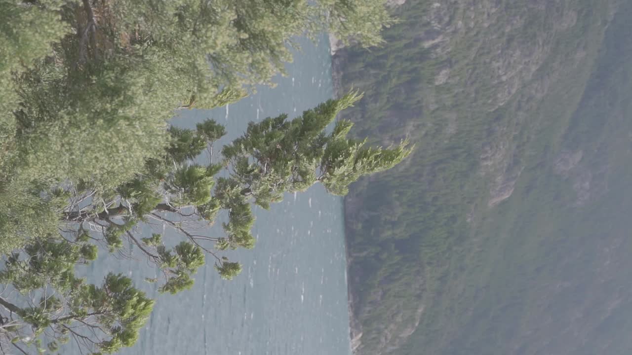 아르헨티나 파타고니아 계곡의 숲으로 덮인 호수와 산