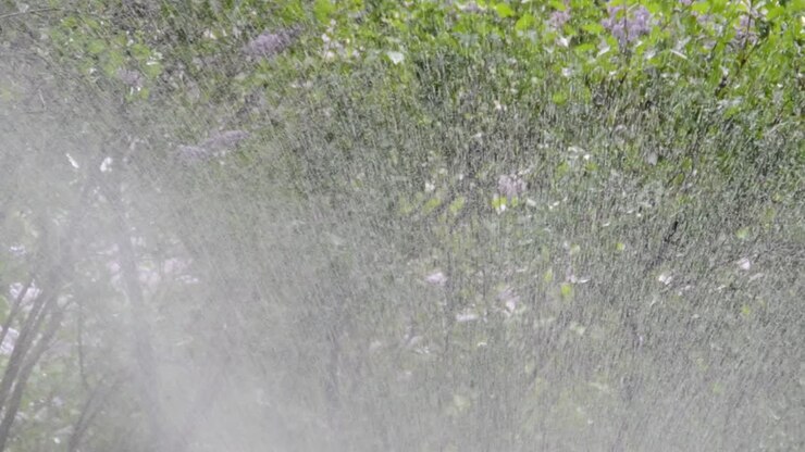 Watering of grass