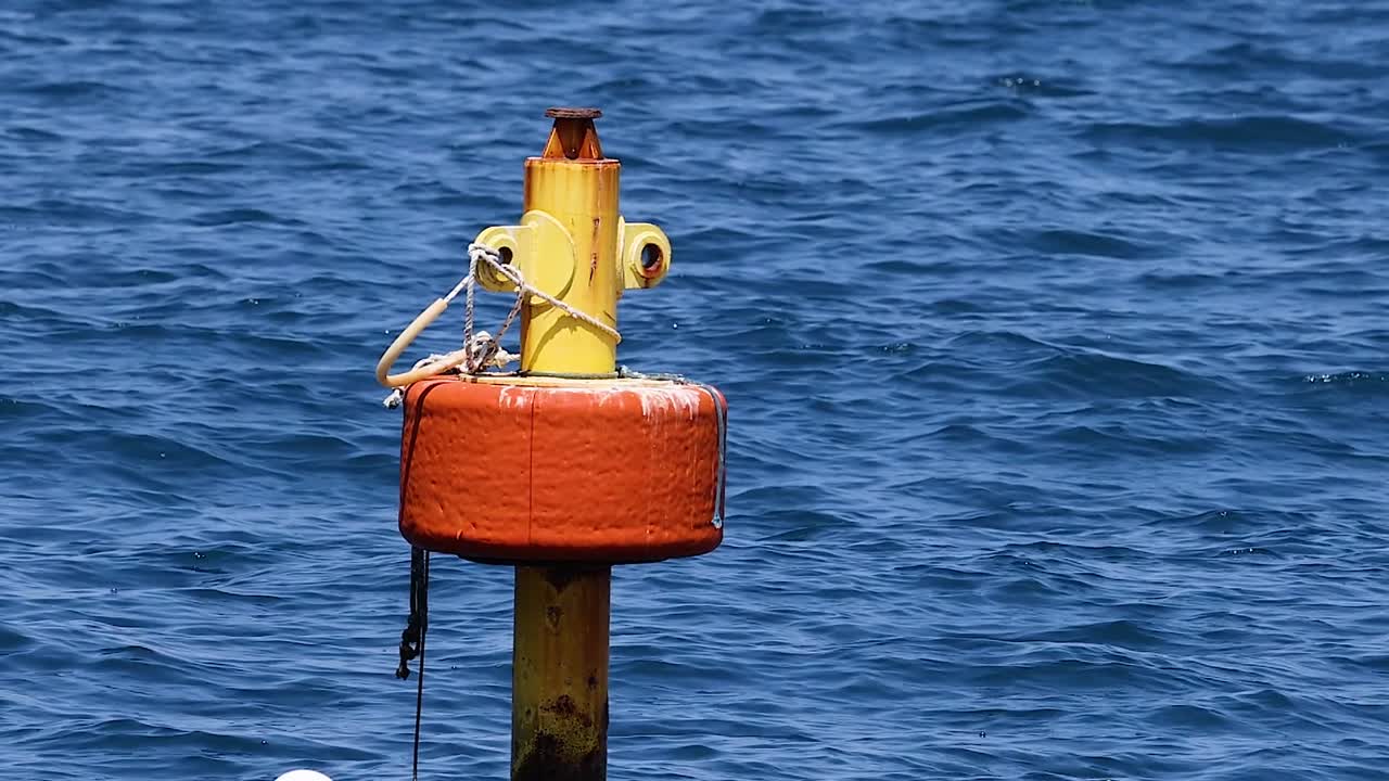 Primo piano centrato di una boa di segnalazione marittima che galleggia nelle acque blu intenso dell'oceano