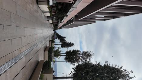 modern city street with trees and buildings