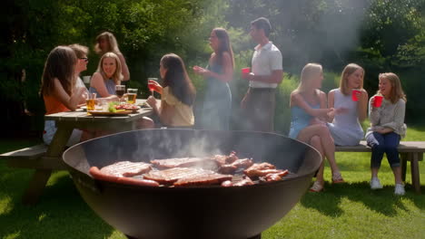 summer backyard barbecue party with friends