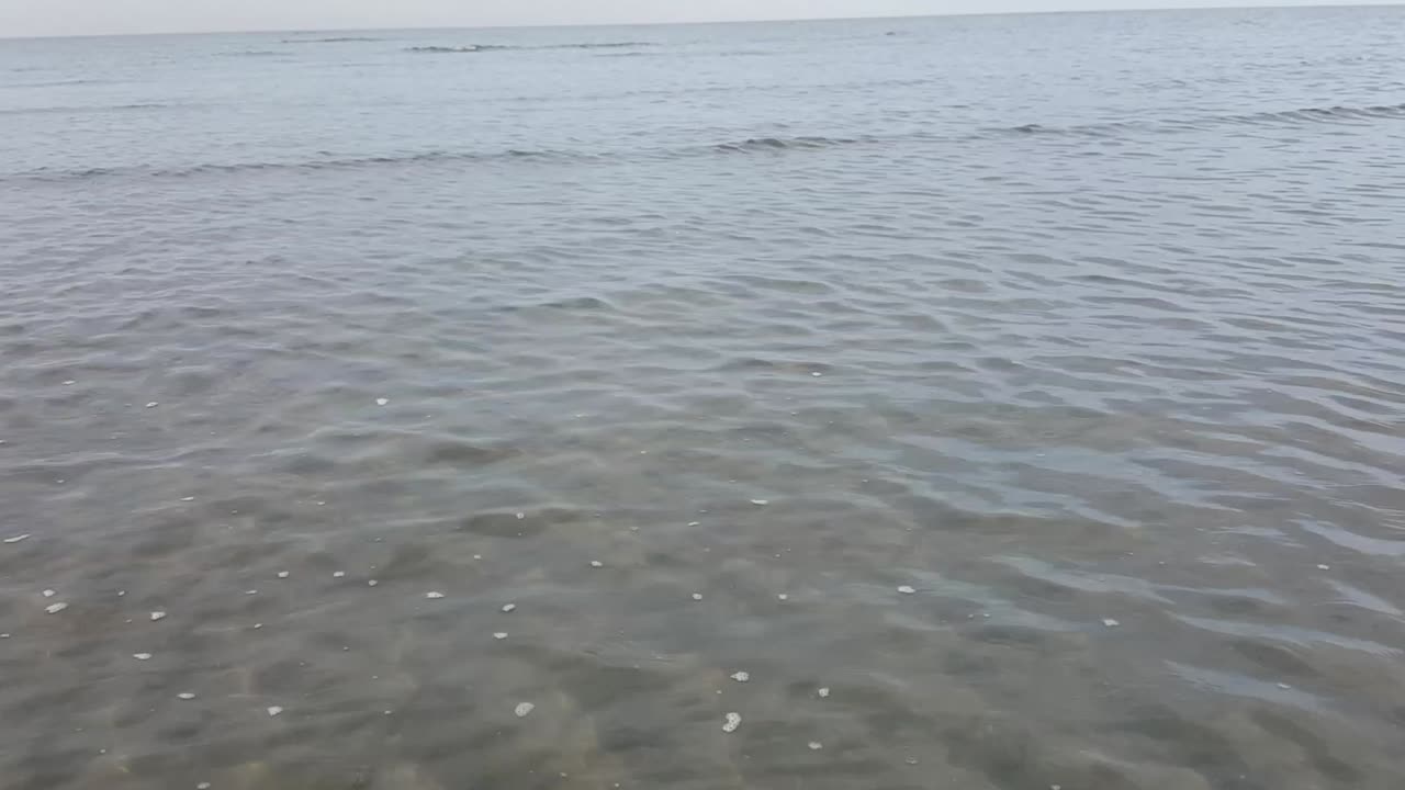 해변의 수면 파도