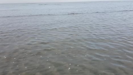 해변의 수면 파도