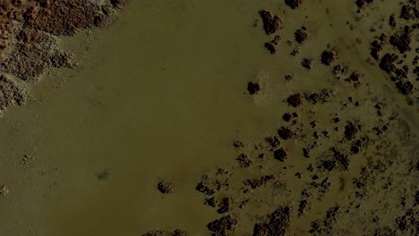 Dried-reeds-and-clay-on-shallow-water,-swamp-brown-texture-seen-from-above-on-a-sunny-day,-aerial-view