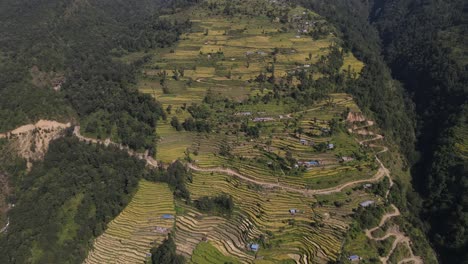 las hermosas tierras de arroz de nepal