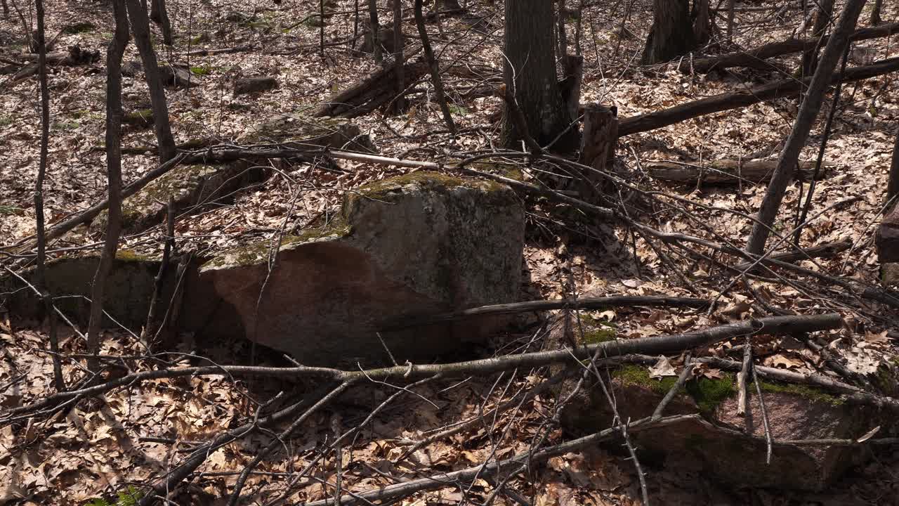 A few beautiful rocks in the mountains scattered with dead tree branches, along with many dead leaves on the ground. All of this at the beginning of spring.