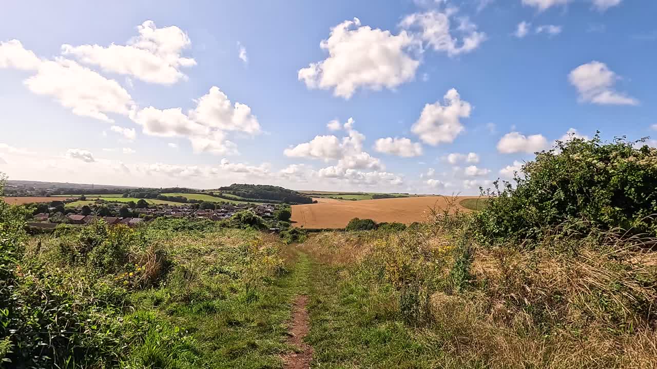 un sendero tranquilo a través de un campo exuberante