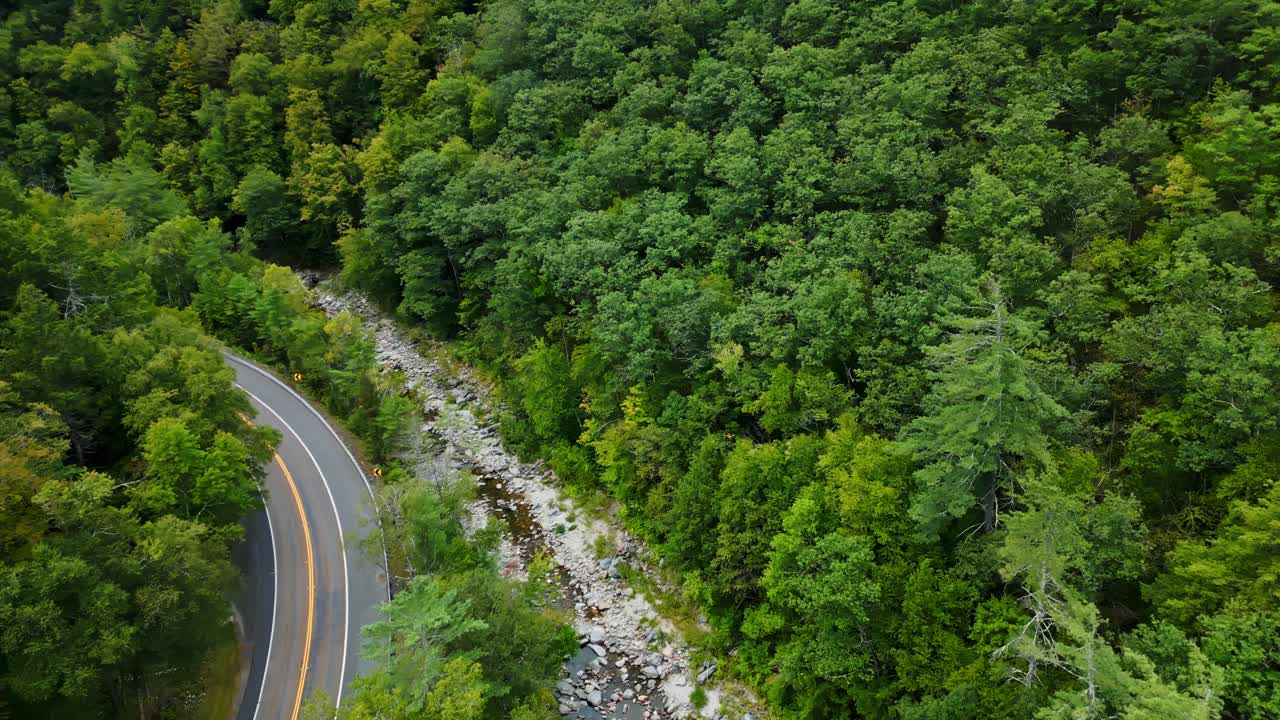 Winding road through lush green forest along Mohawk Trail, Massachusetts