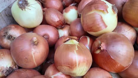 un montón de cebollas frescas