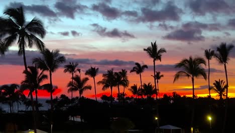 palm trees in silhouette with an amazing sunset on the horizon in a tropical paradise - panorama