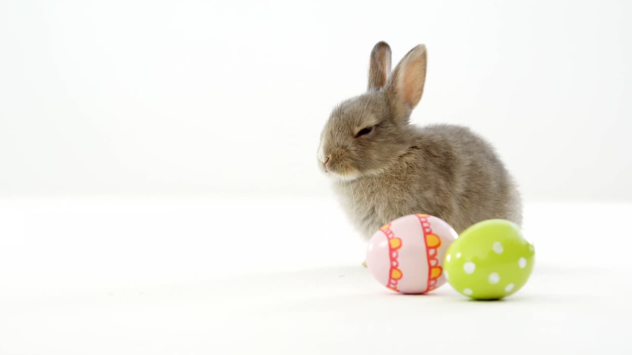 Easter eggs and Easter bunny