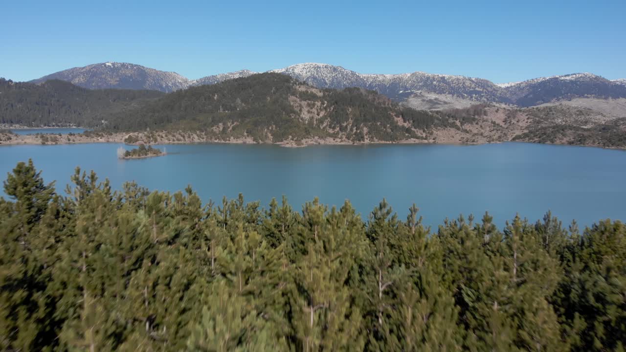 dron sobre árboles de coníferas revelando aoos manantial lago epirus grecia