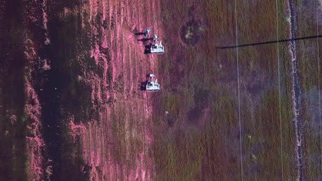 Top-down-aerial-shot-follows-cranberry-field-workers-moving-through-the-bog-on-harvesting-machines