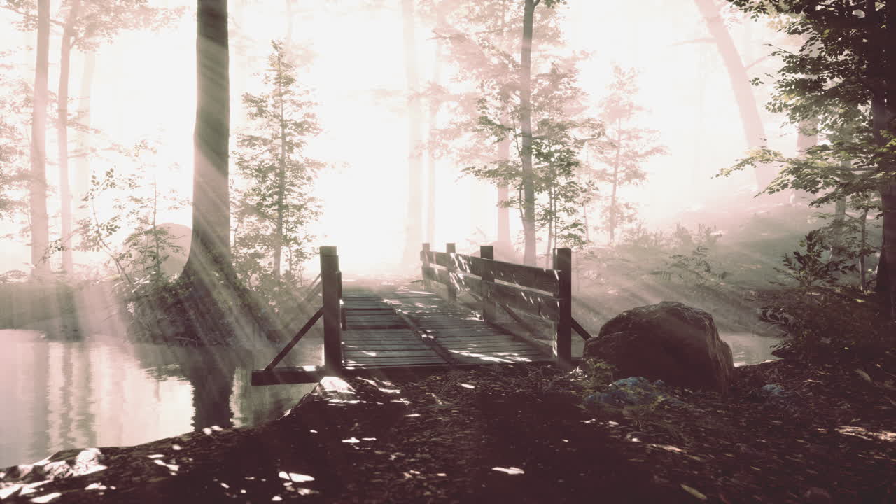 안개 속의 신비로운 오래된 나무 다리