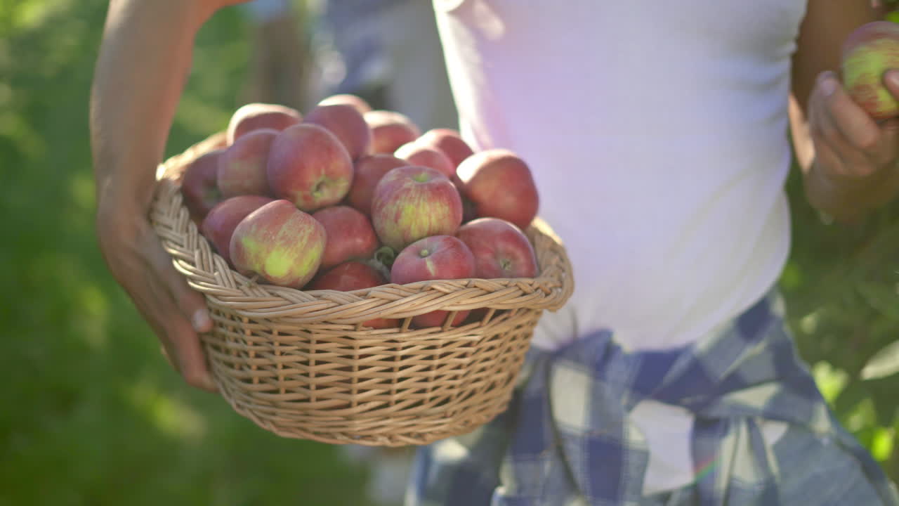 A person holding a basket of fresh apples