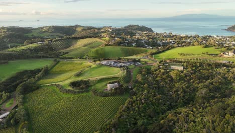 Beautiful Waiheke island in New Zealand with green mountains and vineyards. Beach, city and bay in background. Aerial wide shot.