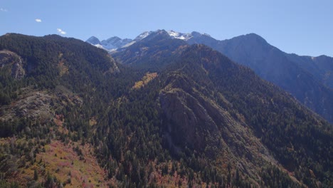 high elevation aerial push into a snowcapped mountain with yellow aspen trees and fall colors