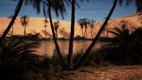 oasis en el desierto