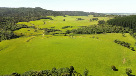 Vast-green-landscape-of-beautiful-nature