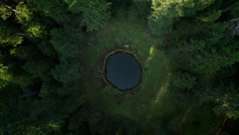 small lake in a forest