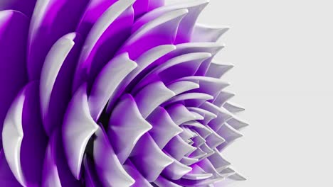 animación de arte digital de la flor de loto púrpura que se abre en bucle renderización vertical en 3d