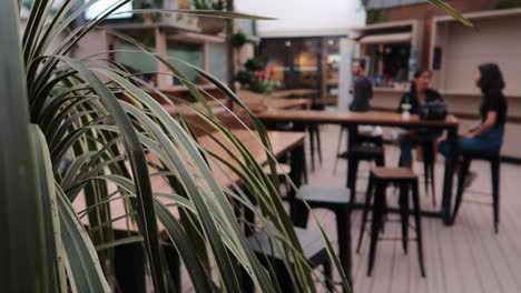 conversation in the background in a cafe with a plant in foreground