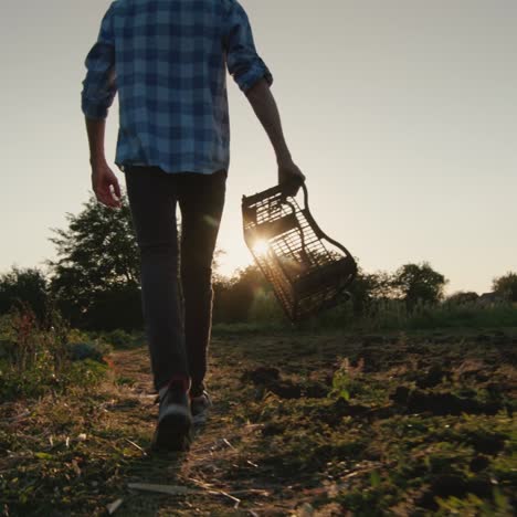 A-male-farmer-walks-across-the-field-carrying-an-empty-box