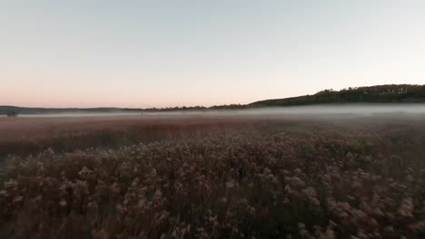 Aerial-drone-footage-navigates-low-over-misty-wetlands-near-Hungary's-Lake-Balaton