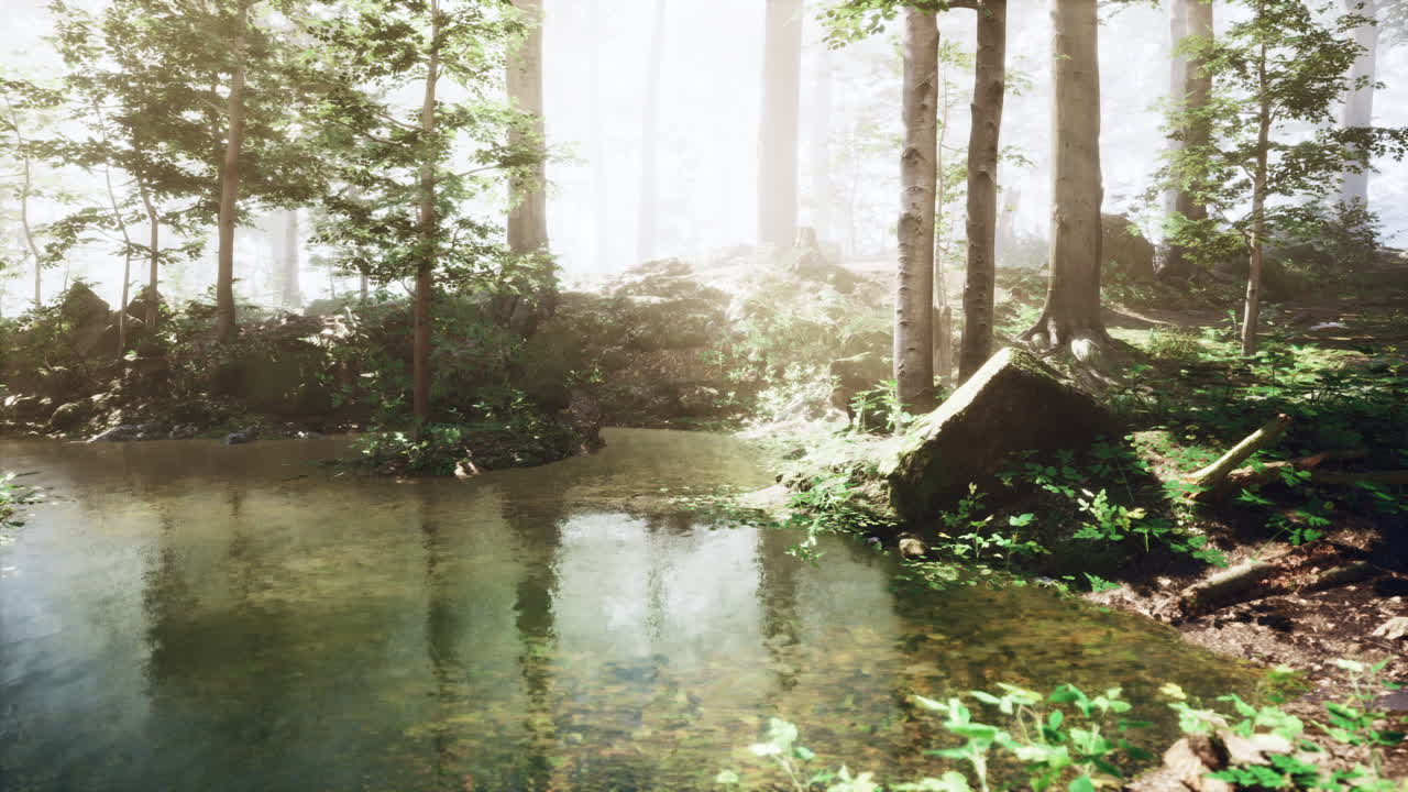 조용한 숲의 하천