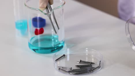 iron nails reacting with copper sulfate solution