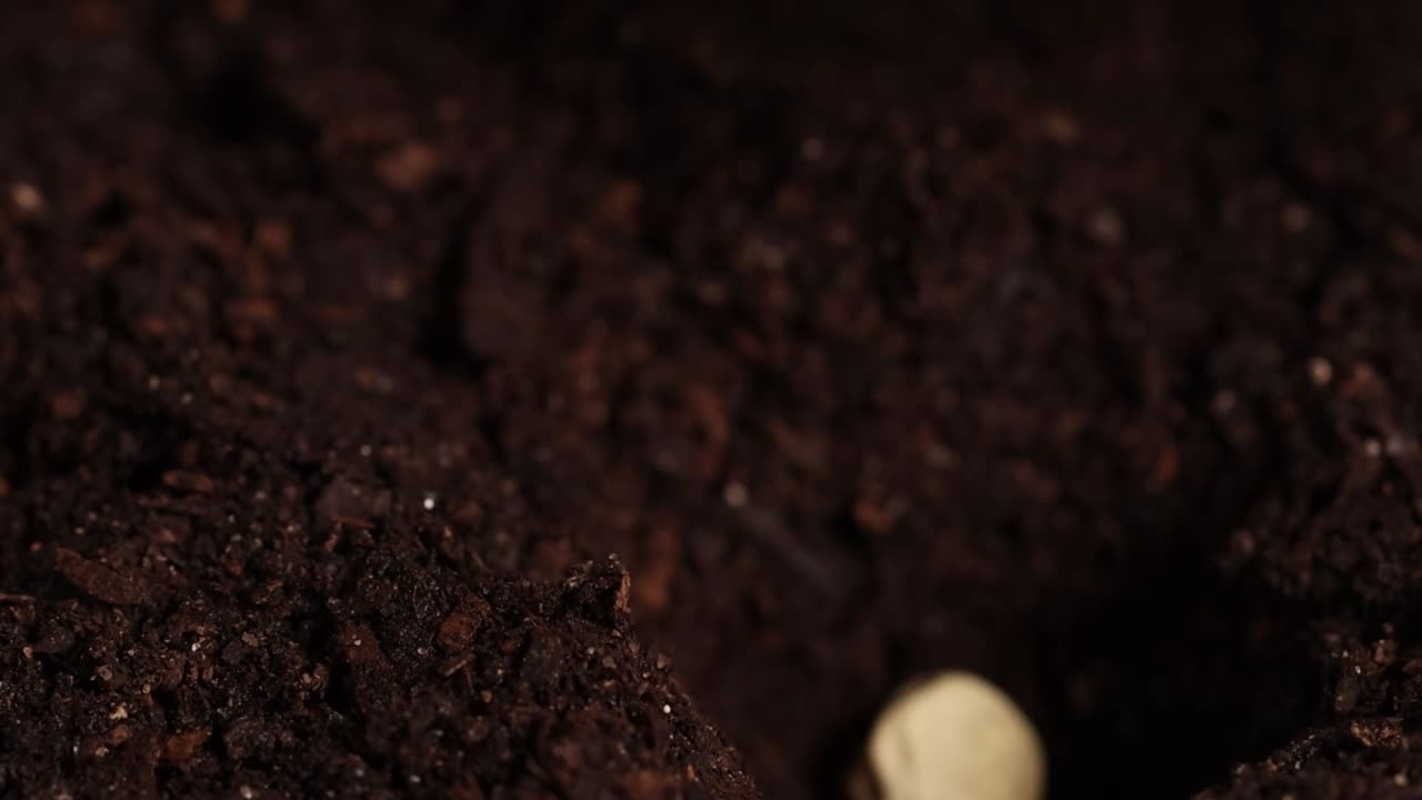 Primo piano estremo di dita che piantano semi nella terra fertile, seguito da una fine nebulizzazione d'acqua.