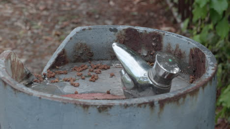 water source in a natural park