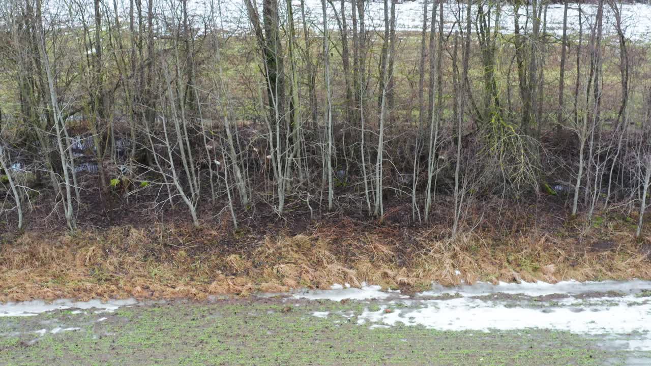 숲에서 달리는 사 무리, 농장 위에서 공중에서 내려오는 것