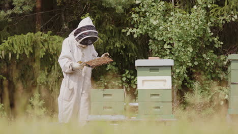 Apiarist-in-bee-suit-takes-out-frame-from-beehive-to-inspect,-slow-motion