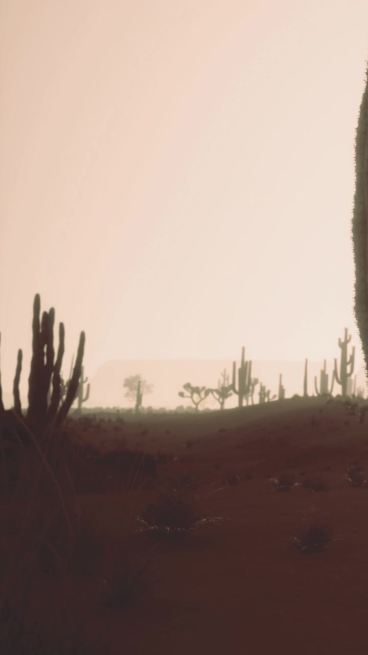 Cactus nel paesaggio desertico durante il tramonto con colori tenui nel cielo.