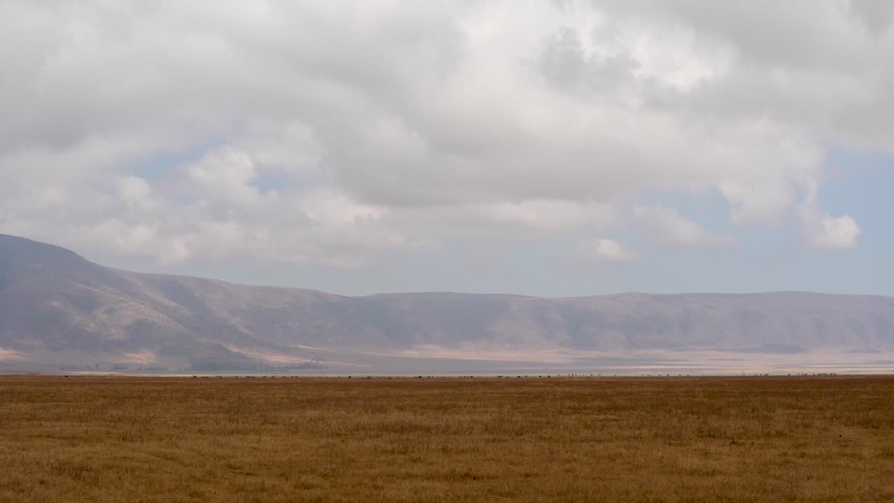 Dry grasslands of Ngorongoro Crater natural preserve in Tanzania Africa on cloudy day, Aerial wide angle pan right shot