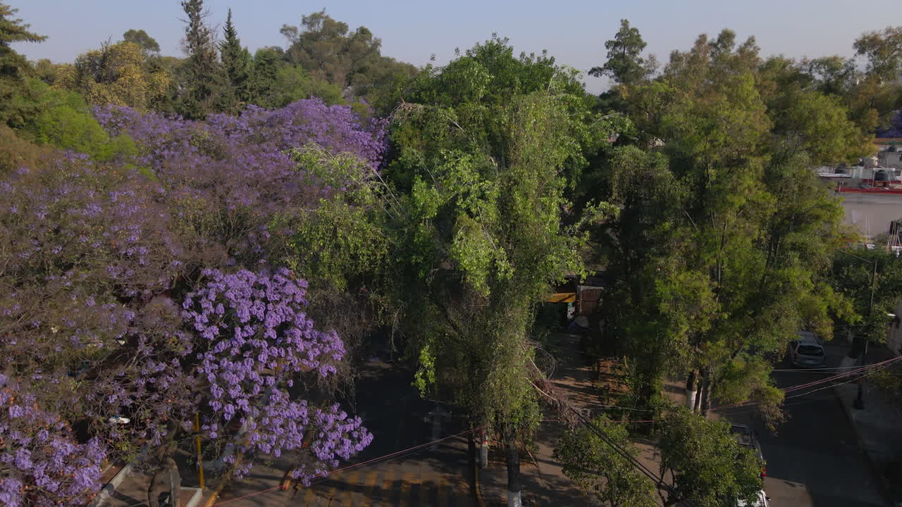 vista aérea descendente vehículo de conducción gire a la izquierda en el cruce de carreteras en la capital ciudad de méxico
