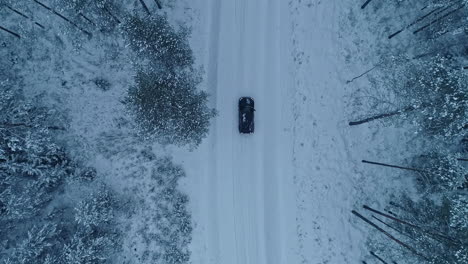 aerial drone bird's eye view of a black car driving through winter snow-covered forest road