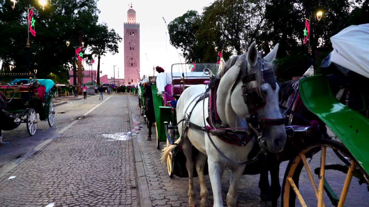 tiro noturno de cavalos e carruagens perto do mercado principal em marrakech