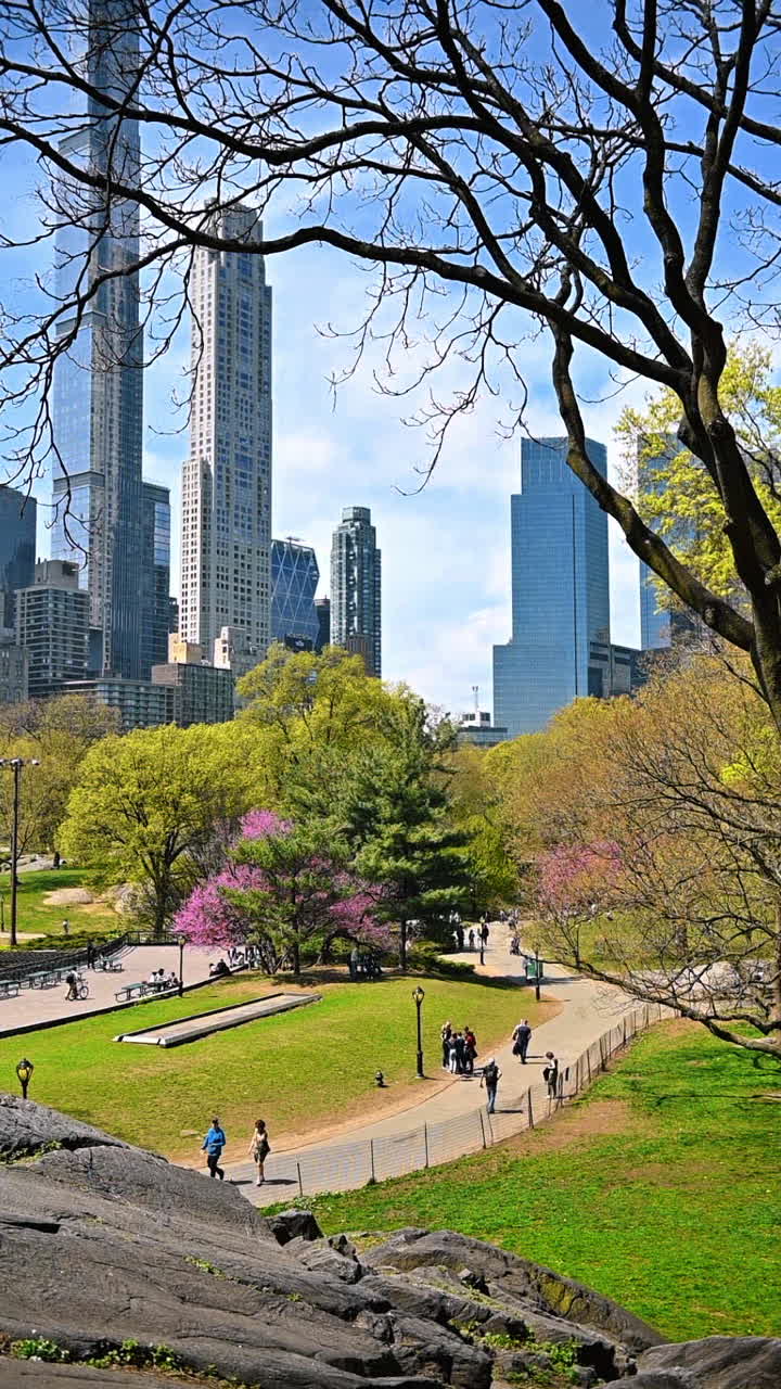 Rocky area in Central Park with Manhattan skyline view