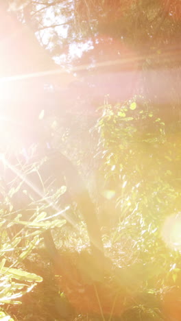 female mountain biker riding in the forest